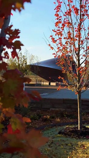 🍁 It’s feeling like fall in Springdale! 🍁 Share your fall photos with us! Tag @explorespringdale to be featured! | Explore Springdale