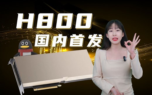 国内最强大模型计算集群！！！H800国内首发，性能如何？都放在视频最后啦！#NVIDIAH800 #h800 #人工智能 #服务器知识分享 #融科联创