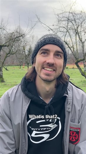 Jenkem Magazine on Instagram: "Welcome back to Skatepark Profiles 👤, our IG series where we highlight local’s tricks, takes & styles. This week for Ep. 48 @seadragon_gallery_seattle 📹/🎬: @ianostrowski_"