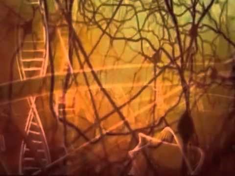 The Evil Spirit Detachment Meditation