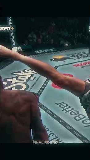 Insane UFC KO in Slow Motion! #UFC #FinalRound