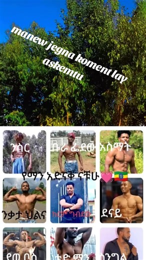 Freedom@12 (@freedom2866)’s videos with original sound - @abel 12