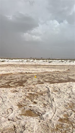 ‏#الشعب_الصيني_ماله_حل😂😂 #اكسبلوررررر #الرياض