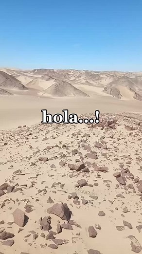 Hay alguien aquí con vida: Memes y sonidos virales