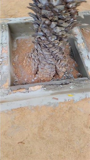 YouTube bricklayer #renovation #construction #engineer #bricklayer #building #architecture #house