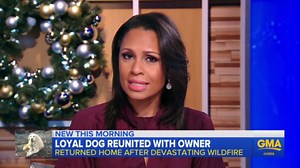 Homeowner finds dog upon return to property after catastrophic wildfire