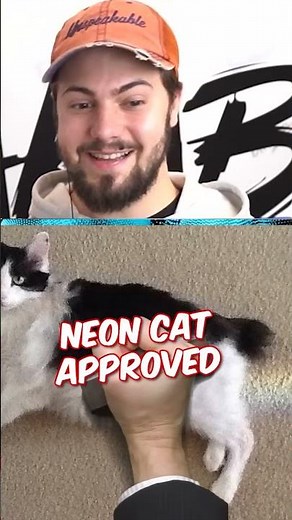 The Art of Perfect Timing