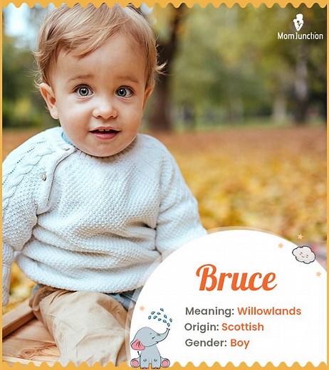 Bruce Name Meaning, Origin, History, And Popularity
