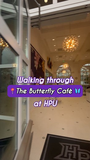 For this week's #WalkingWednesday we're heading to a campus favorite, The Butterfly Café! 🦋The Butterfly Cafè is located right next to the Caine Conservatory and is one of the best places to grab a bite to eat on campus. Known for its Mediterranean-inspired dishes, handcrafted coffee and gelato, this dining location is just as delicious as it is beautiful. Nothing is better than enjoying a meal with your friends in an inspiring location just like this! The Butterfly Café is a must-see spot on c