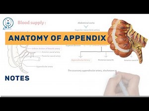 Anatomy of appendix | notes | animated | McBurney's point | NEET PG | INICET