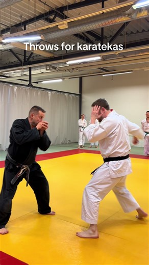 Effective Throws for Karatekas in Training