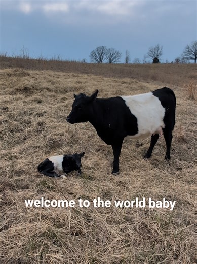 Welcome to the New Addition on the Farm