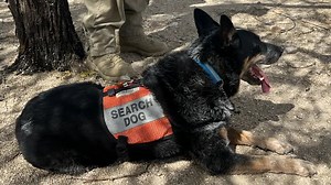 Southwest Rescue Dogs Helps Pima County Sheriff's Department Train Dogs