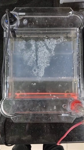 🧬How to operate agarose gel electrophoresis in 1 minute #viral #reels #shorts #trending #science