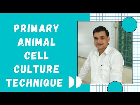 What is primary animal cell culture technique used for culturing of animal cells?