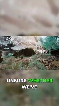 Stunning Graphics & Smooth VR Controls: MUST SEE!