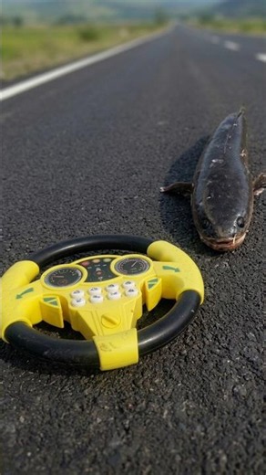 remote control fish unboxing and testing | Rc fish #rcfish | machali