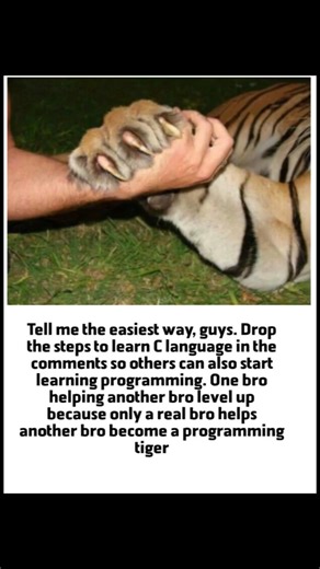 Easiest Way to Learn C Language | Programming Start Guide