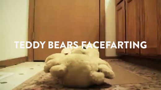Teddy Bears Facefarting