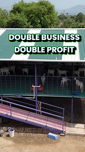 1M views · 10K reactions | Double BusinessDouble Profit #indianfarmer #goatfarming #poultryfarming #AgriBusiness | Indian Farmer | Facebook