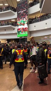 315K views · 10K reactions | The #Springboks are back in South Africa 拾 #StrongerTogether | South African Government | Facebook