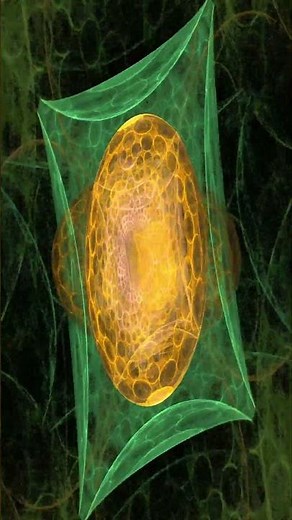 Fractal Worlds Orbit | Cosmic Spheres in Evolving Space