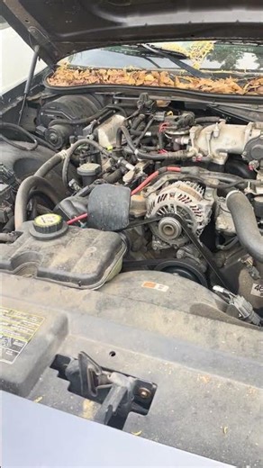 2005 Ford Crown Victoria