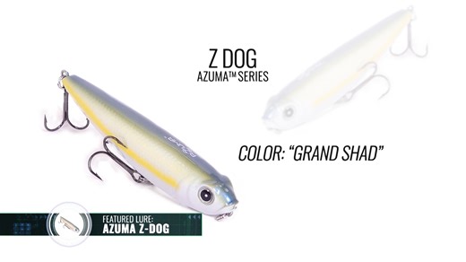 Topwater Fishing as Fall approaches and the Bass begin their migration into the creeks and pockets. This week we are looking at "Reading the Road Signs" to catch more fish. Today, looking at lure colors and how I choose the color for the conditions. #topwaterfishing #tennesseeriver #TeamOutdoors #nitroboats #largemouthbass Bass Pro Shops Visit North Alabama Nitro Boats Motormate | Timmy Horton Outdoors