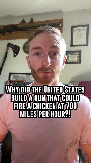 The Chicken Gun: A History of Aircraft Protection