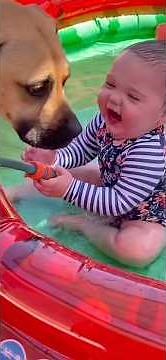 Gods Angels On Earth! Babies and their pups