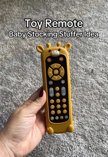 Best Baby Remote Toy for Teething Relief
