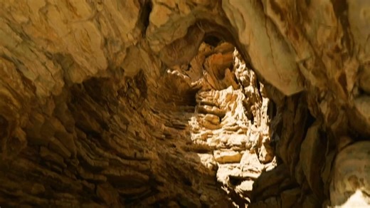 Did you know Texas has an Eiffel Tower, an alligator rescue, and its tallest waterfall in its desert region? 🤠 (We didn't either and thought an RV road trip to see them is a great idea!) Our latest travel guide through Texas brings you to all the outdoor recreation, BBQ, and quirky Americana stops your heart desires as we continue to celebrate America's 250th...RV style! 🚐🇺🇸 Thanks, Travel Texas for the inspiration! https://loom.ly/G11YbyY #RV250 #GoRVing #RVing Check it out here: https://lo
