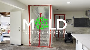 Ensure a thorough understanding of your property's air quality with Ascanio's Mold Inspection Miami. Our certified mold inspectors bring expertise to pinpoint potential issues, fostering a healthier living environment. Learn more at https://bit.ly/47YzbCS or call us at 786-638-4399. #MoldInspectorMiami #MoldTestingMiami #MoldRemovalMiami | Mold Testing & Mold Removal Miami FL 772-494-2770