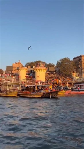 hey Sona ❣️ #shorts