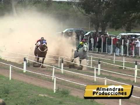 CORRIDA QUARTO DE MILHA BOLIVIA