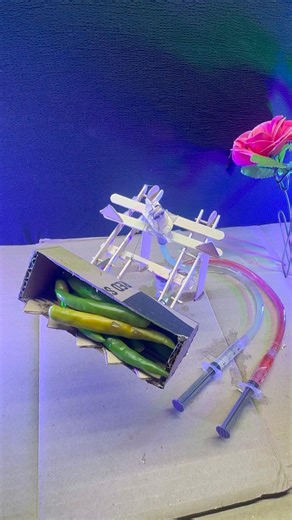 DIY Cardboard Crane Using Syringes | Hydraulic Crane Model