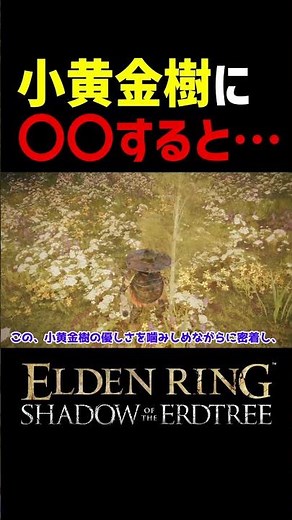 [Elden Ring DLC] If you do XX to the Little Golden Tree in Miko Village... #Shorts #EldenRing #El...
