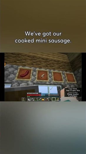 The Wall of Sausages Is Under Way 🤢🌭 | Chest Cavity Mod Builds | The Dadcrafter