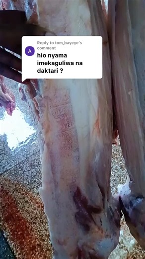 Replying to @tom_bayeye Always present pigs for inspection at an approved slaughterhouse to ensure disease-free and quality pork.#porkfeast #murangatiktoker #kenol #pig #piggery