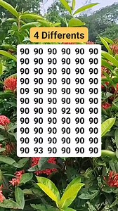 Amazing Brain Teasers on Reels