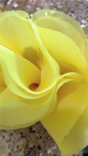 Pageant Gown Design and Walk Tips