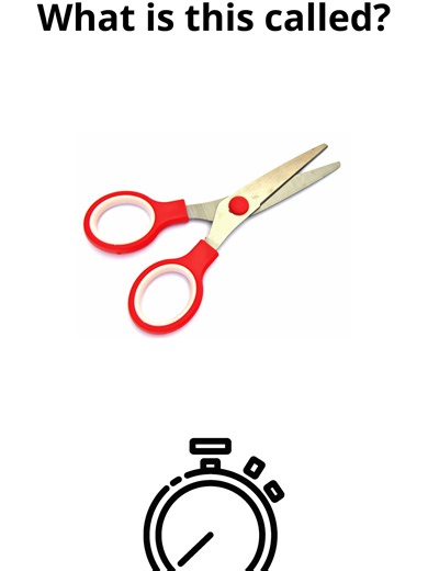 Essential English Vocabulary for Beginners