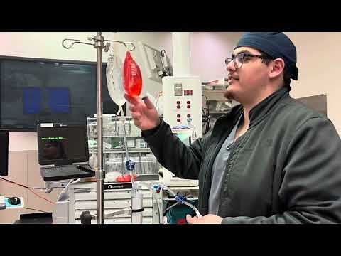 How to use the Belmont Rapid Infuser