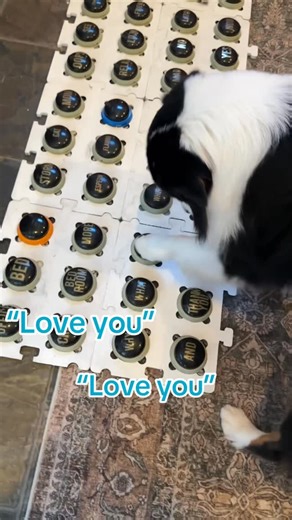 Abba Furgason on Instagram: "Today was an odd one. Palmer walked up to the board and absolutely spammed “love you” over and over. excitement, big feelings, all of it. He’s still learning, still figuring out how to slow down and use the buttons with intention. I went to model “mom” “love you” “Palmer”… and instead he pressed “Espeon.” Twice. I don’t pretend to fully understand what’s going through their minds. I only share what happens, exactly as it happens. Some moments feel playful, some feel 