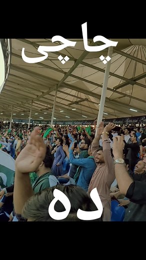 Exciting Sports Atmosphere Captured in Vibrant Crowd