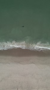 Experiencing this moment was incredible! Have you seen a seal on a Cape Cod beach?! If so, let us know in the comments! | Weneedavacation.com - Cape Cod and Islands Vacations