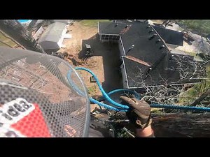 Removing 3 Tall Pine Trees and Opening Up Backyard Space