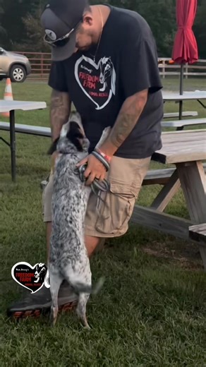 3.5K views · 84 reactions |  Available for Adoption!  Chilli— the...