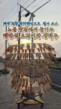 If you want to eat semi-dried squid, go to Mokhwa Rest Area on the east side of Jeju, or Singyemu...