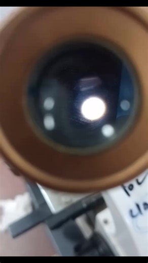 هوا بيجري ليييه 🙆‍♀️🙆‍♀️😂 ايااام ماده الطحالب😂😂#tiktok #foryou #basmala_besso1 #كلية_العلوم #explore